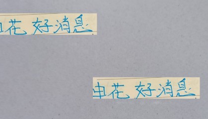 申花好消息吴曦 李可 谢鹏飞都去武汉三镇 坏消息 路易斯没有去